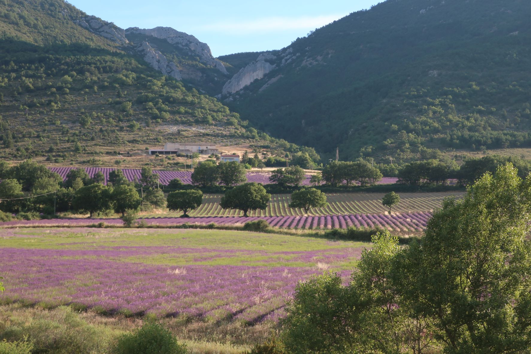 Le plateau des Moures